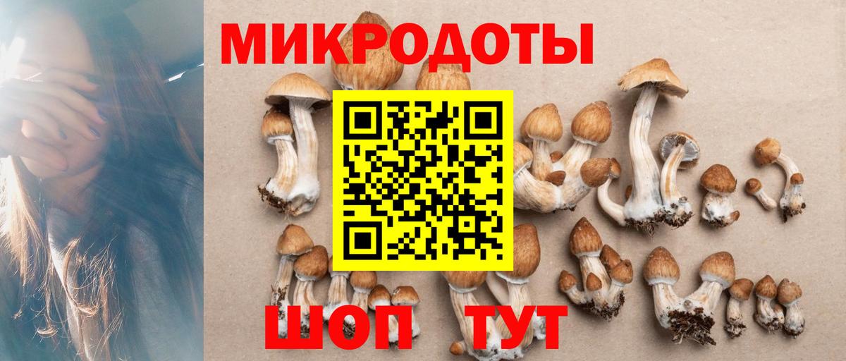Галлюциногенные грибы GOLDEN TEACHER Назарово